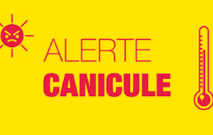 BLSD - Master - Annulation Canicule !!!!!!